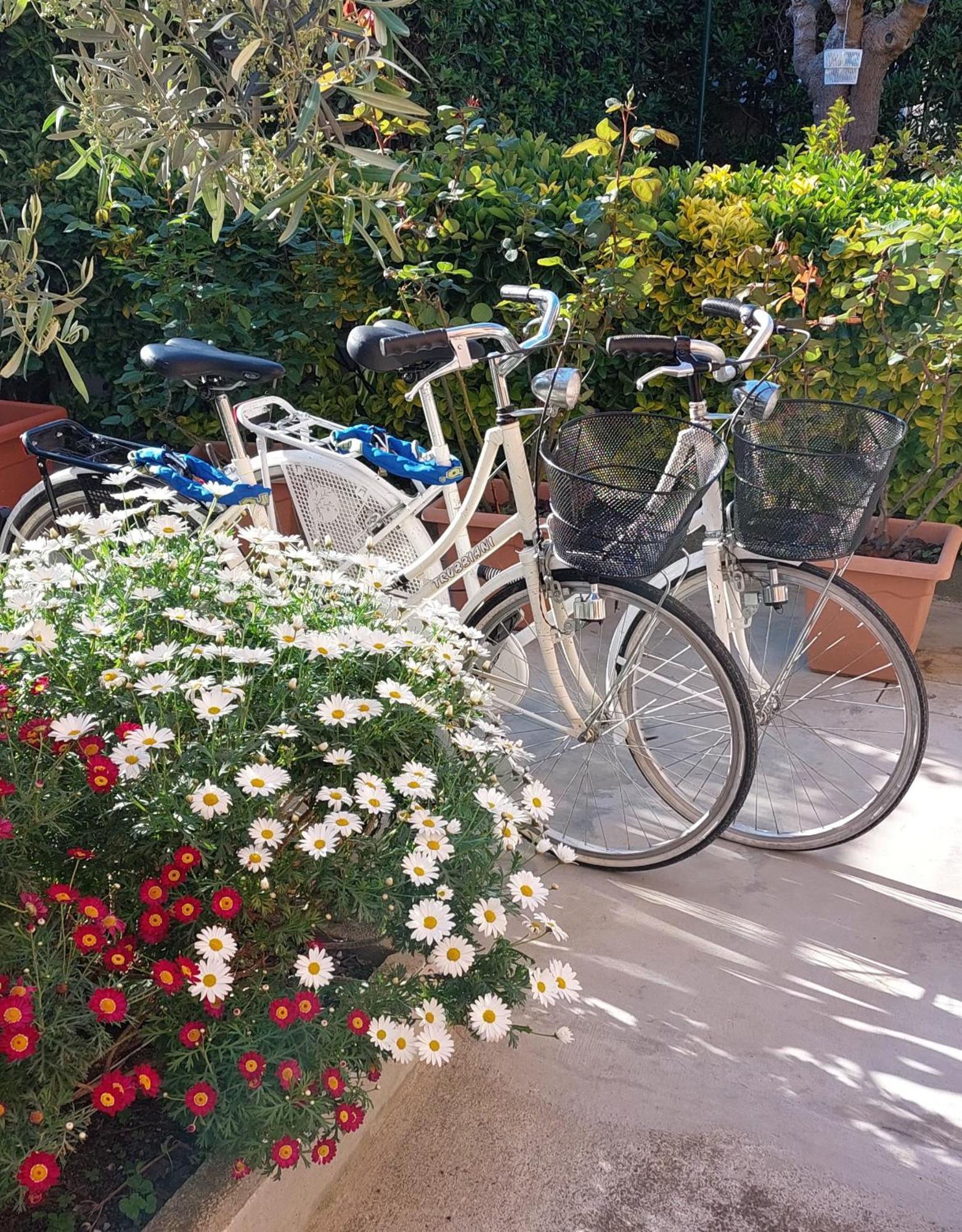 Casa Del Sole Apartments With Garden Marina Di Pisa Eksteriør billede